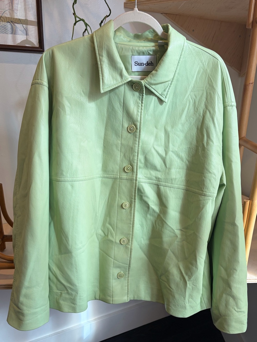 Aritzia Mint Green Button-Front Vegan leather Jacket